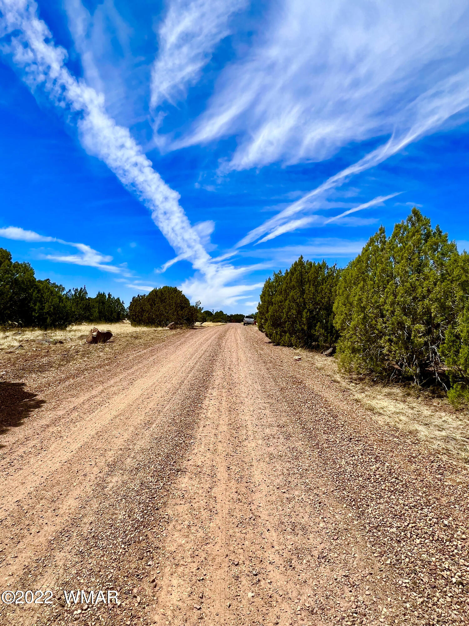 2154 Supancheck Road Show Low, AZ 85901 - Photo 12 of 12