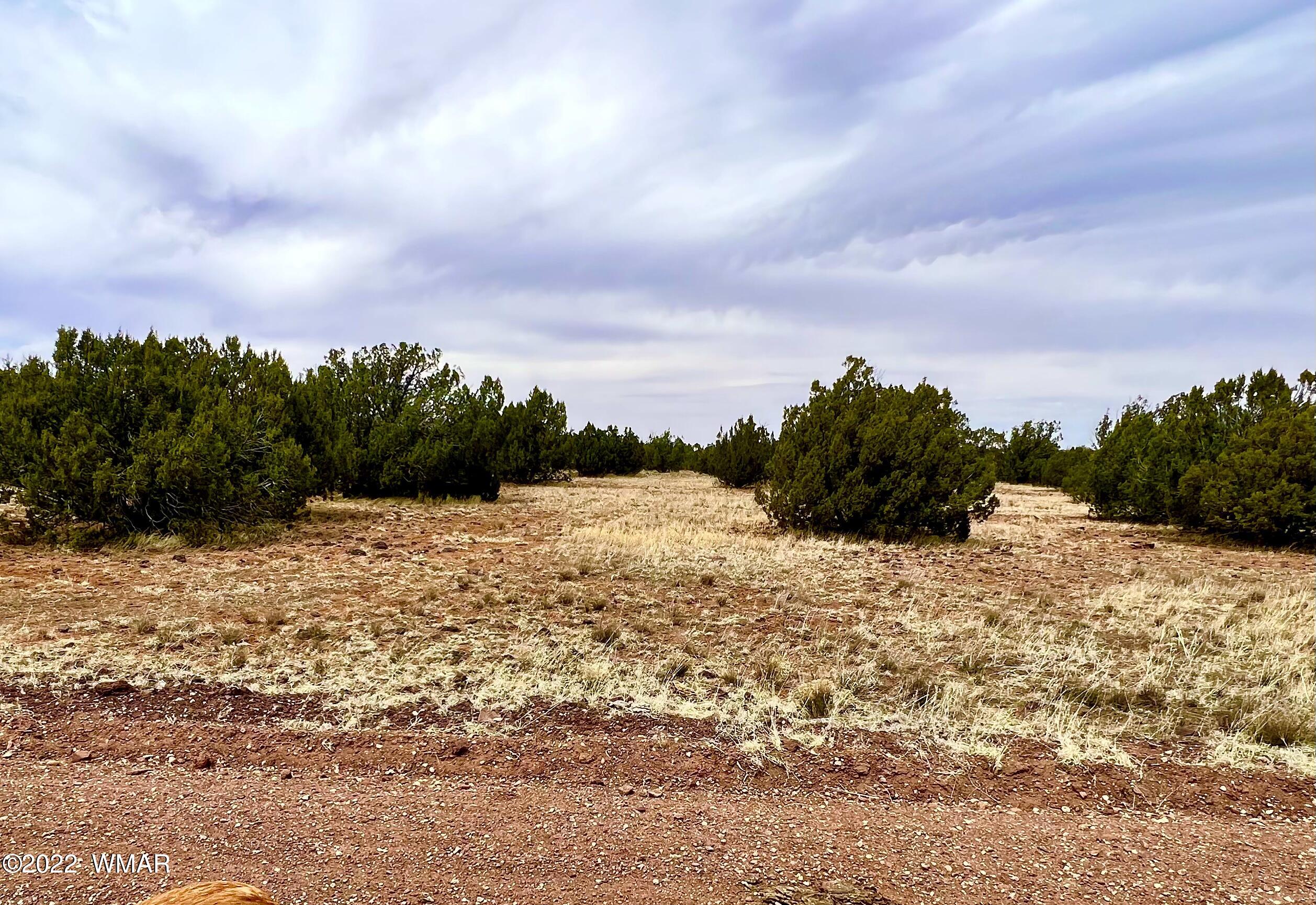 2154 Supancheck Road Show Low, AZ 85901 - Photo 4 of 12