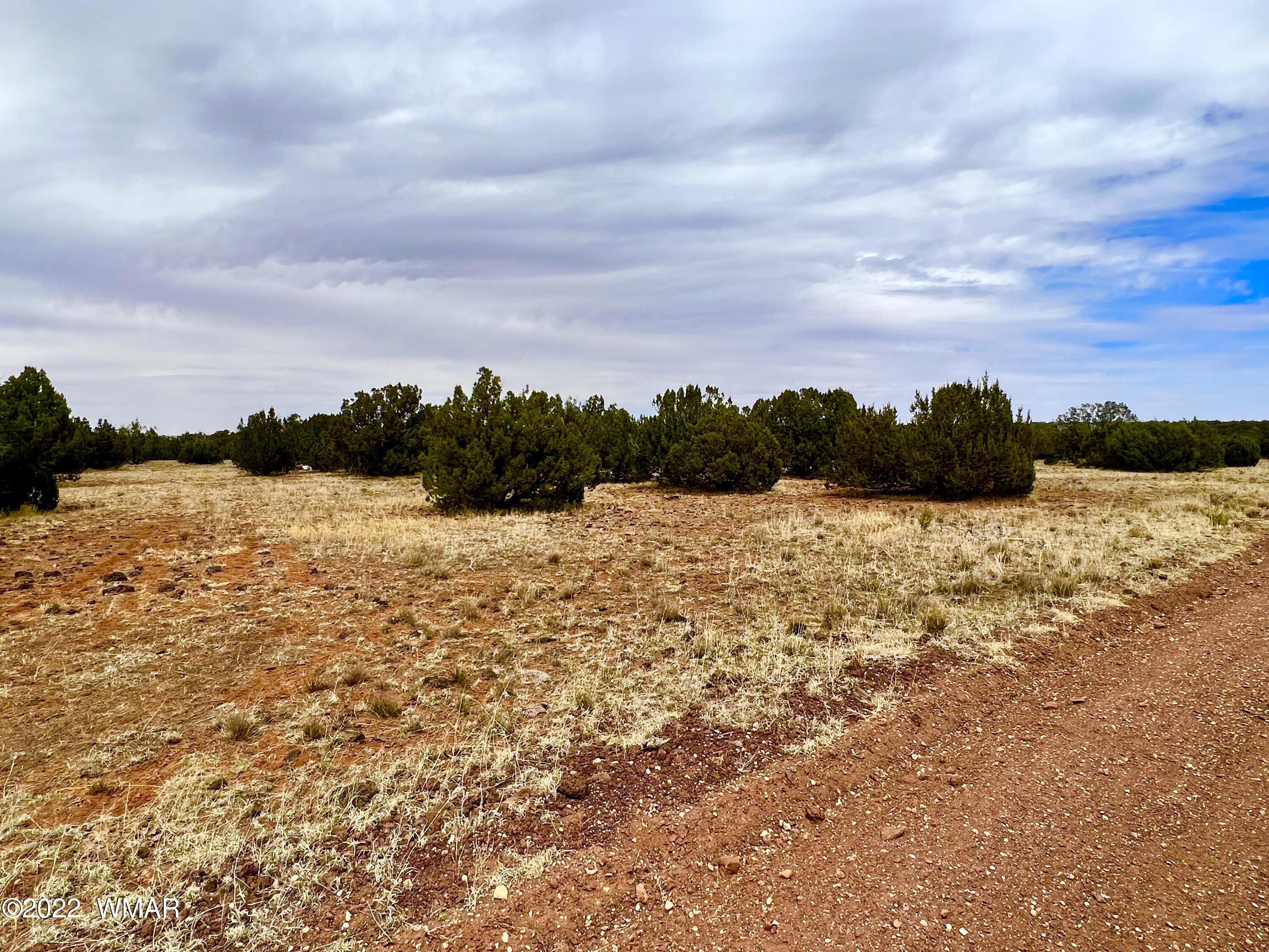 2154 Supancheck Road Show Low, AZ 85901 - Photo 5 of 12