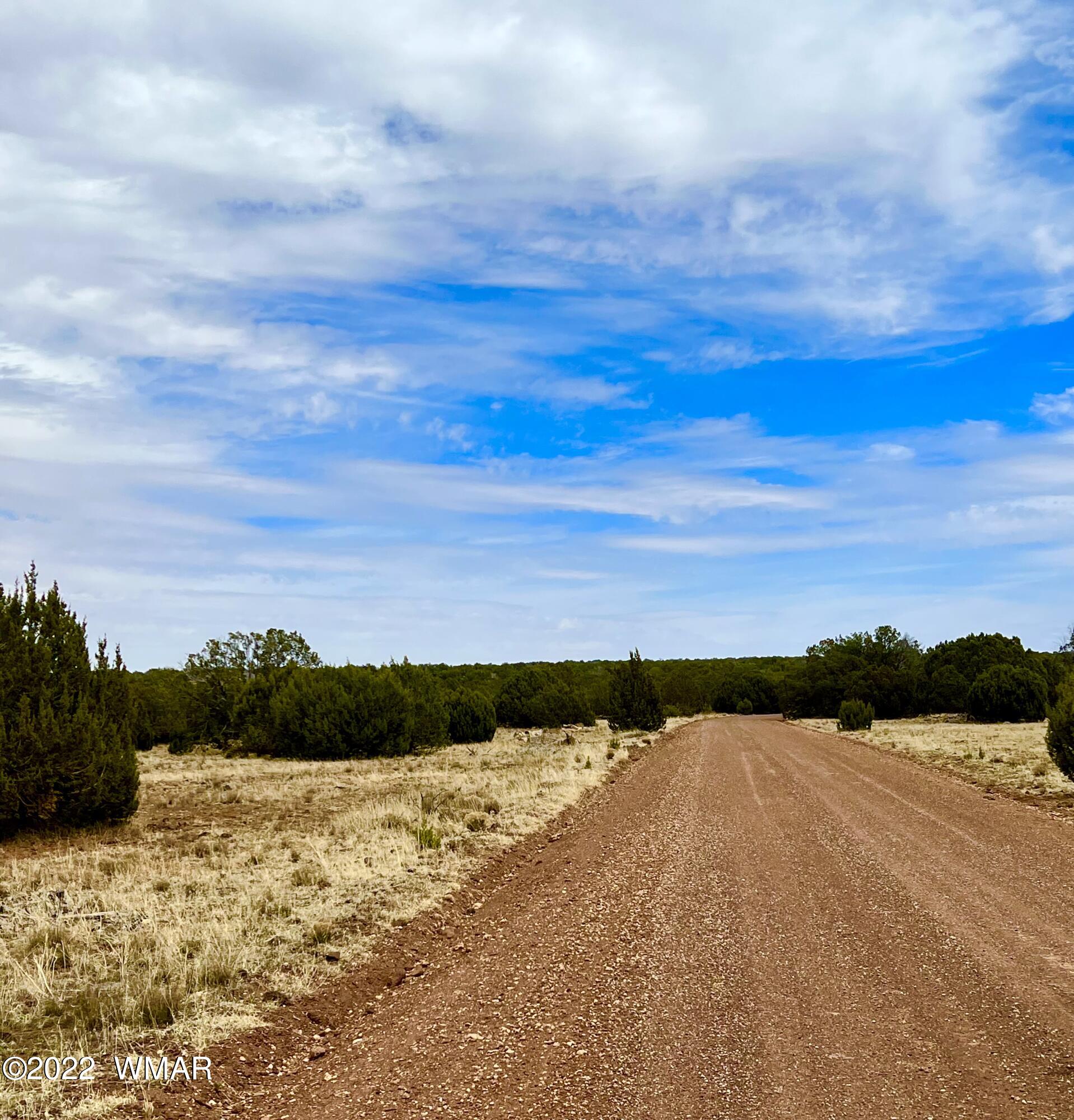 2154 Supancheck Road Show Low, AZ 85901 - Photo 7 of 12
