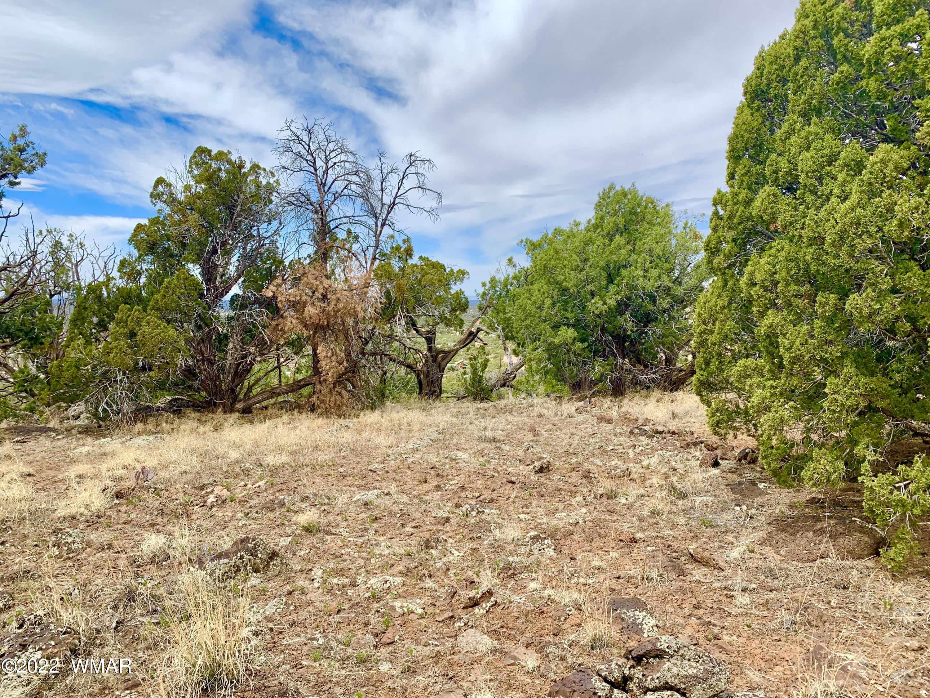 2154 Supancheck Road Show Low, AZ 85901 - Photo 10 of 12