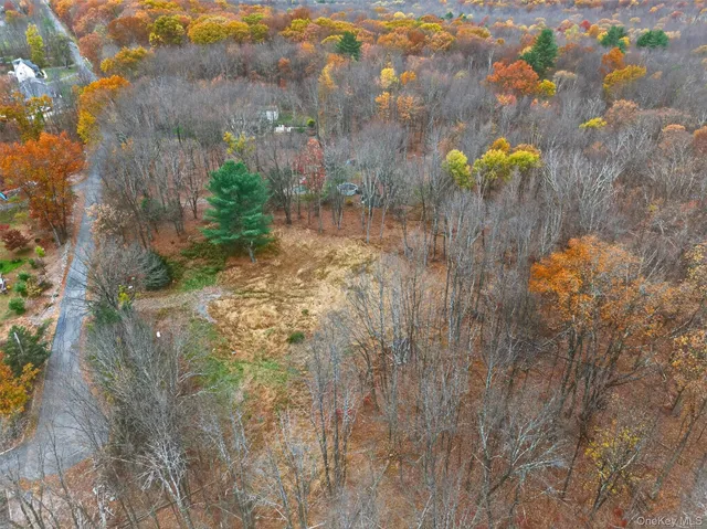 a view of a bunch of trees