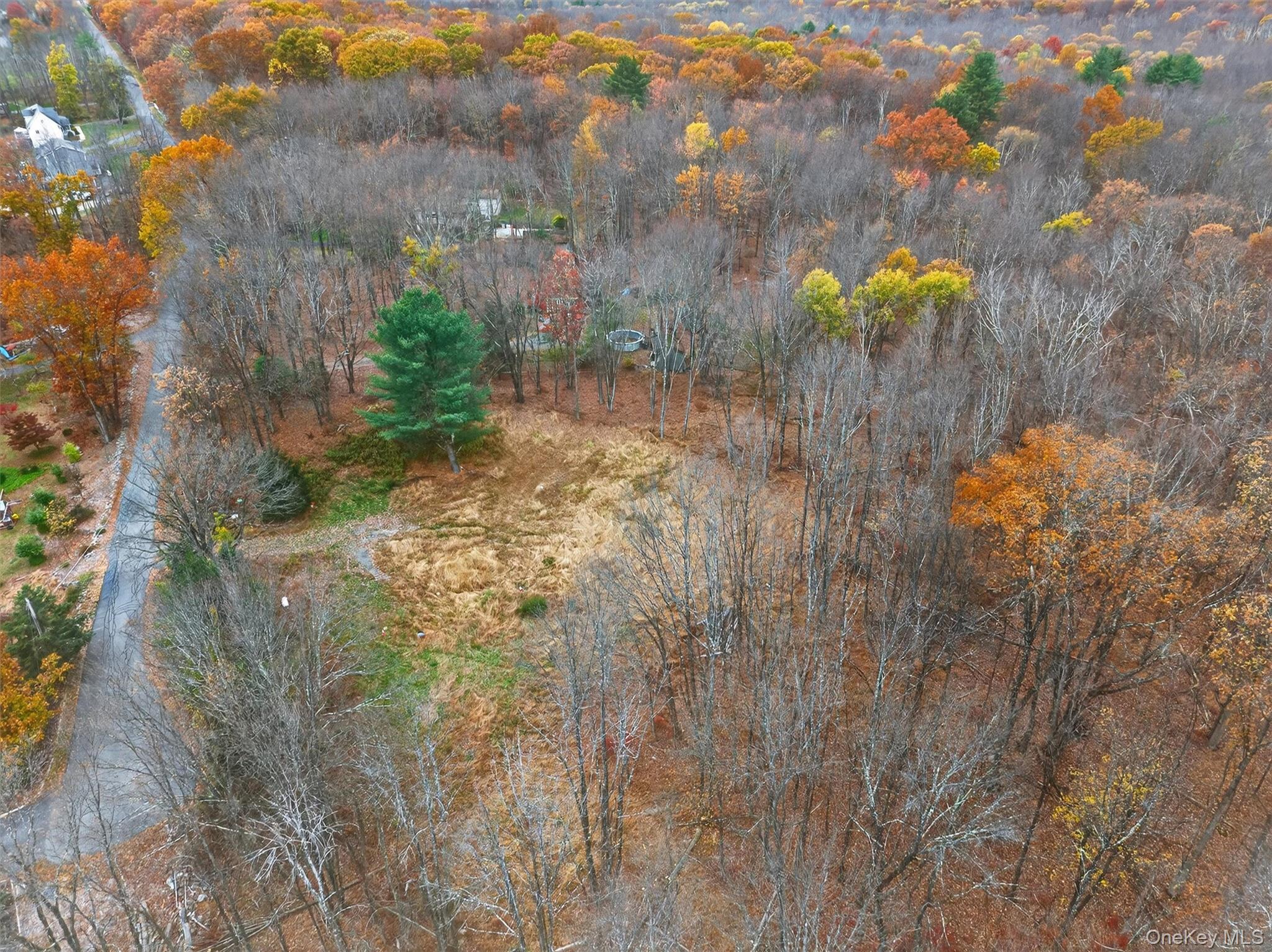 127 Benneywater Road Port Jervis, NY 12771 - Photo 12 of 16 View of property location with a heavily wooded area
