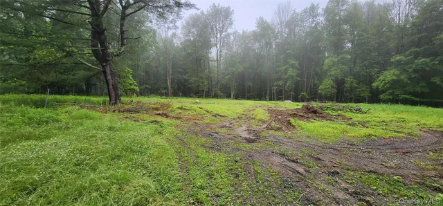 a big yard with lots of green space and house in the back