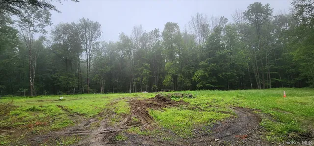 a view of green field with trees in the background