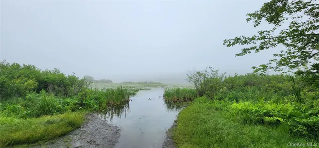 a view of a lake with a yard