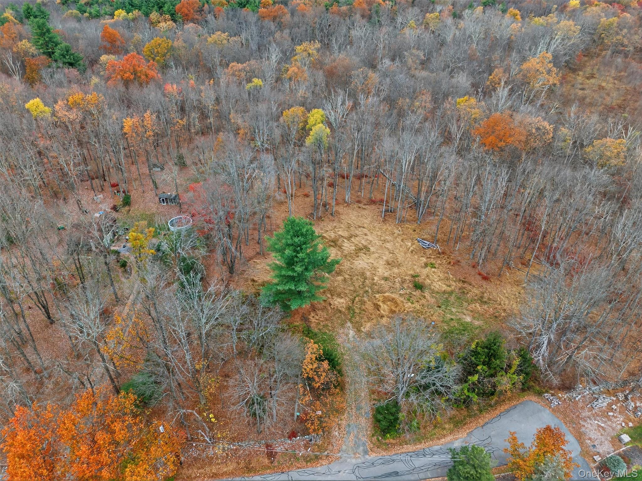 127 Benneywater Road Port Jervis, NY 12771 - Photo 7 of 16 Aerial overview of property's location featuring a heavily wooded area