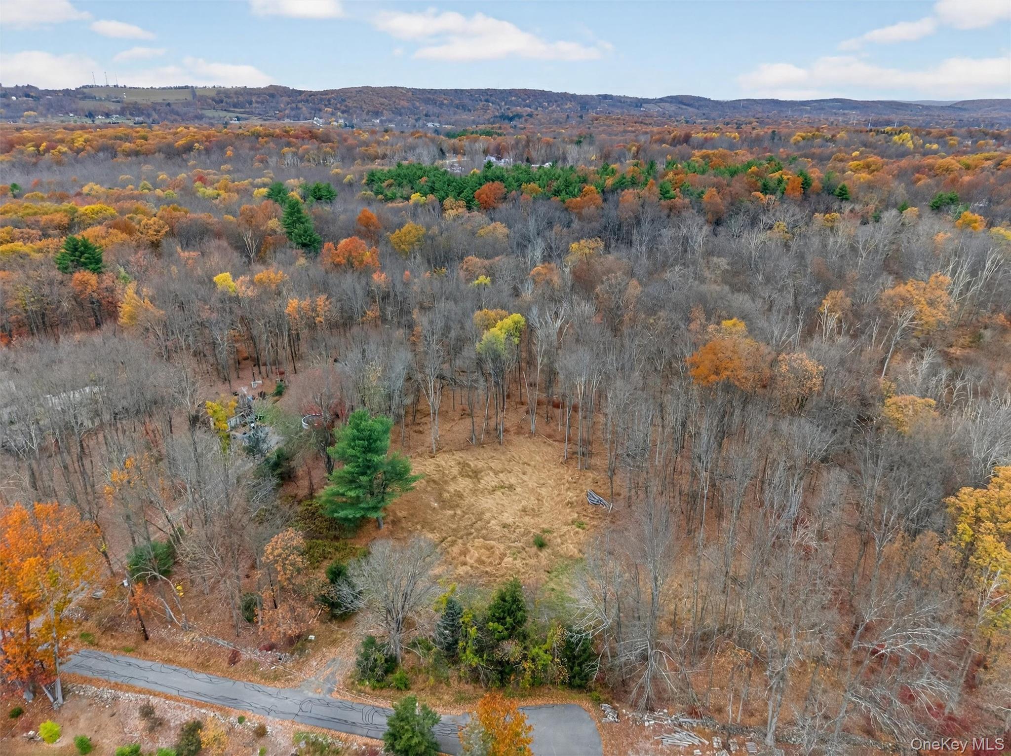 127 Benneywater Road Port Jervis, NY 12771 - Photo 9 of 16 Aerial view of property and surrounding area featuring a forest