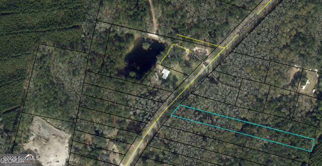 0 Young Man Road Northeast Townsend, GA 31331 - Photo 4 of 9 photo5 (12)