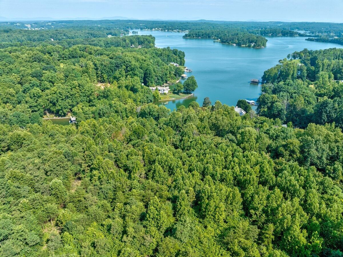 Lot 2 Piney Point Road Union Hall, VA 24176 - Photo 3 of 12 an aerial view of green landscape with trees houses and lake view