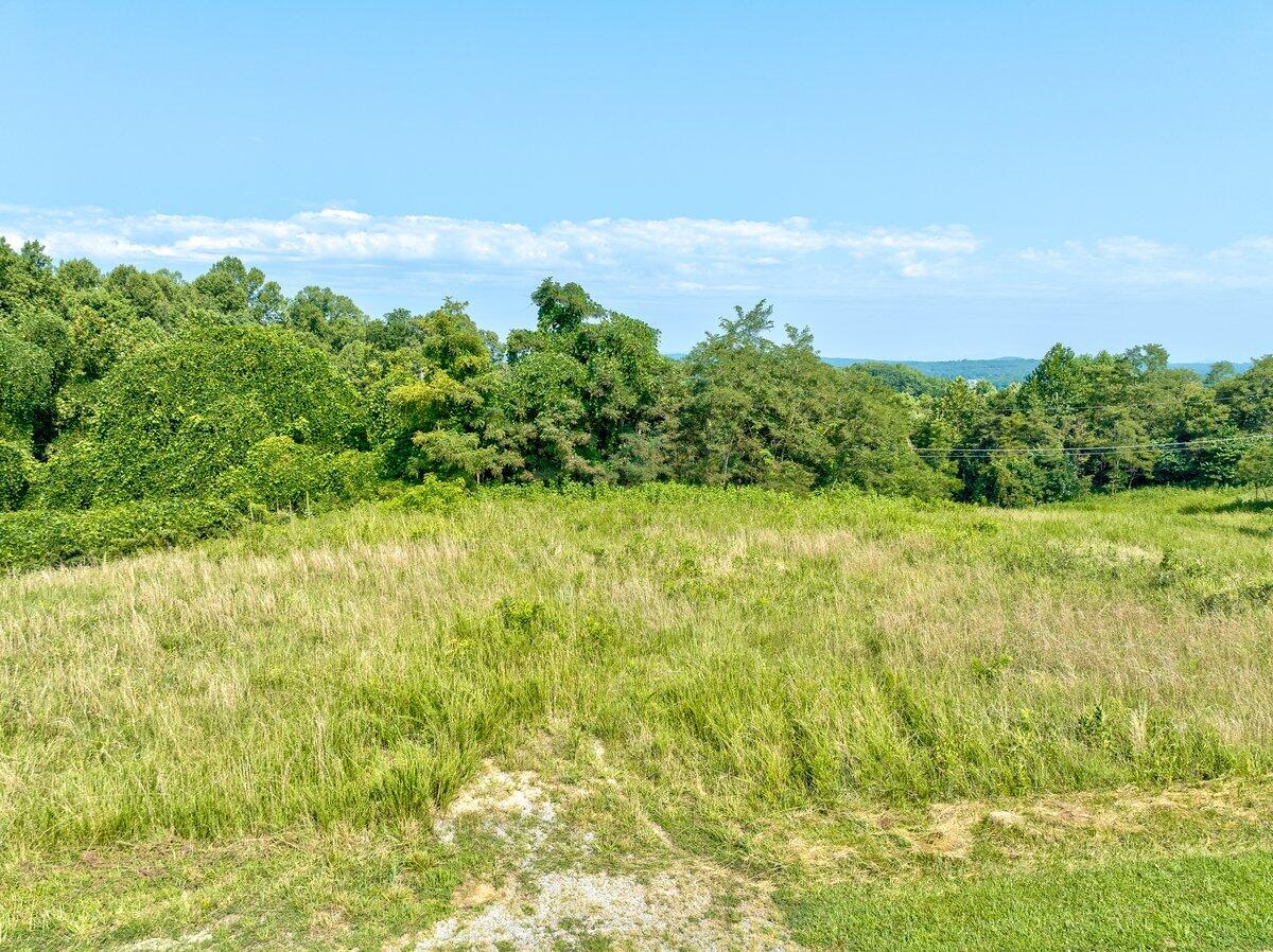 Lot 2 Piney Point Road Union Hall, VA 24176 - Photo 4 of 12 a view of a yard with an outdoor space
