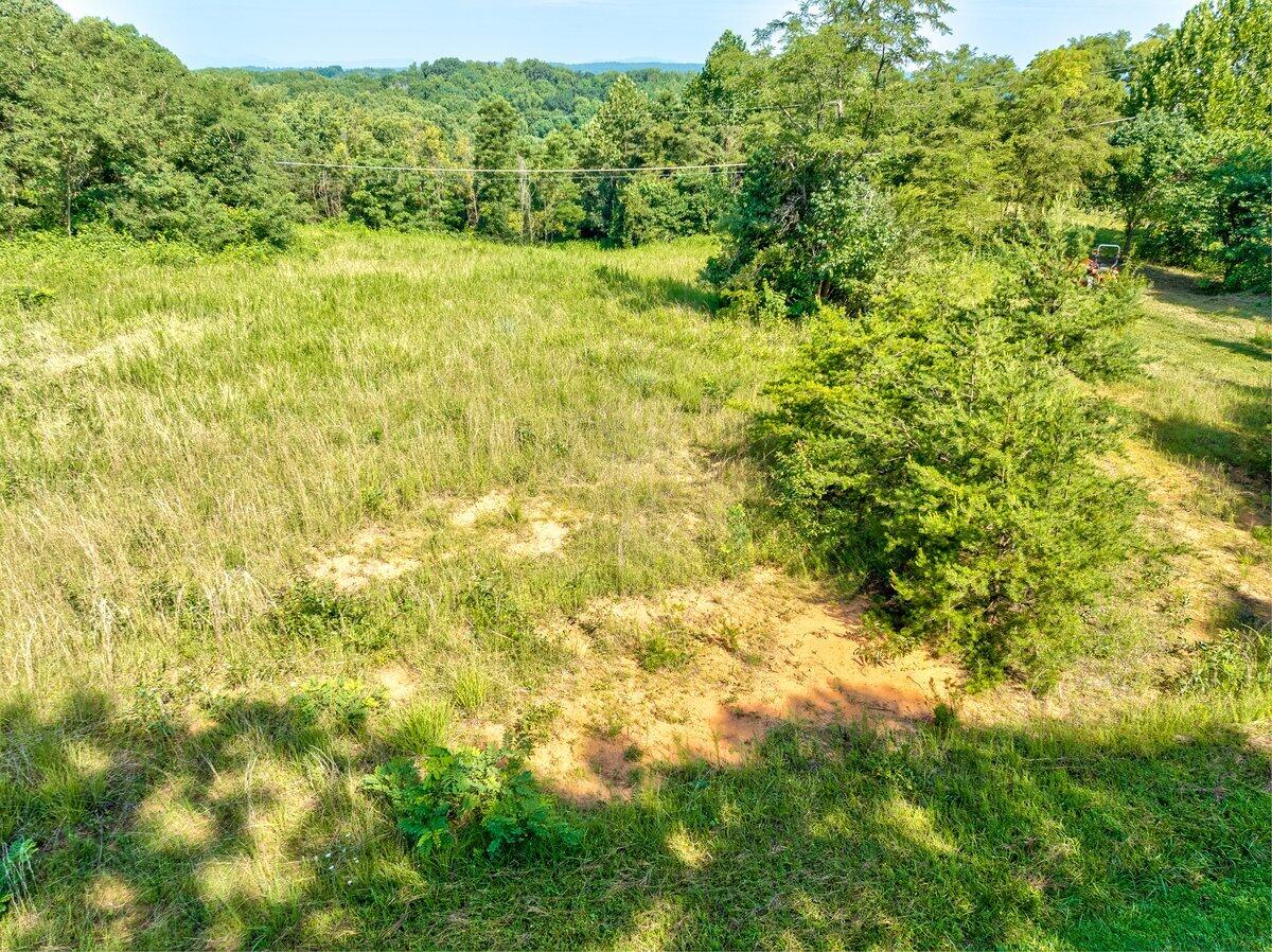Lot 2 Piney Point Road Union Hall, VA 24176 - Photo 5 of 12 a view of a yard with plants and wooden bench
