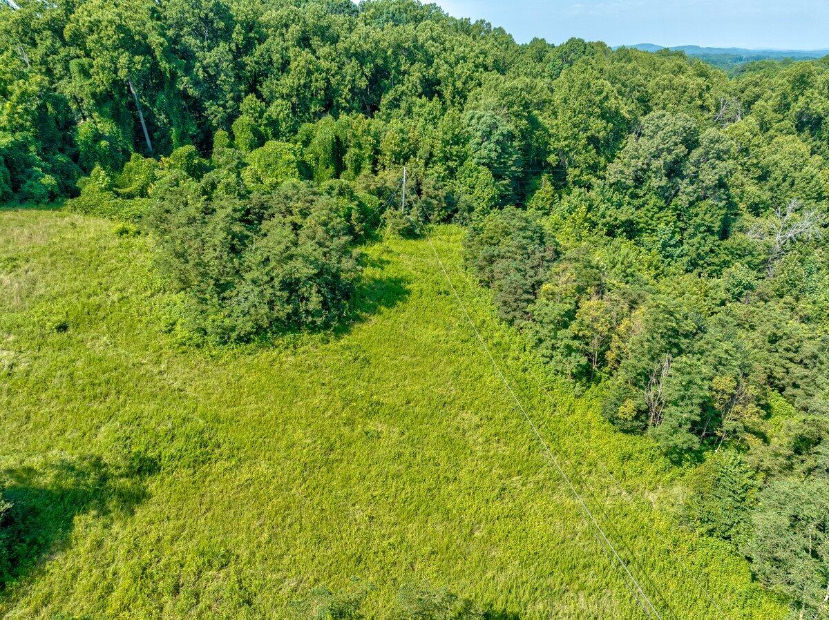 Lot 2 Piney Point Road Union Hall, VA 24176 - Photo 6 of 12 a view of a lush green space