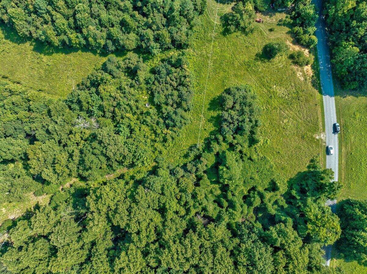 Lot 2 Piney Point Road Union Hall, VA 24176 - Photo 7 of 12 a view of a garden