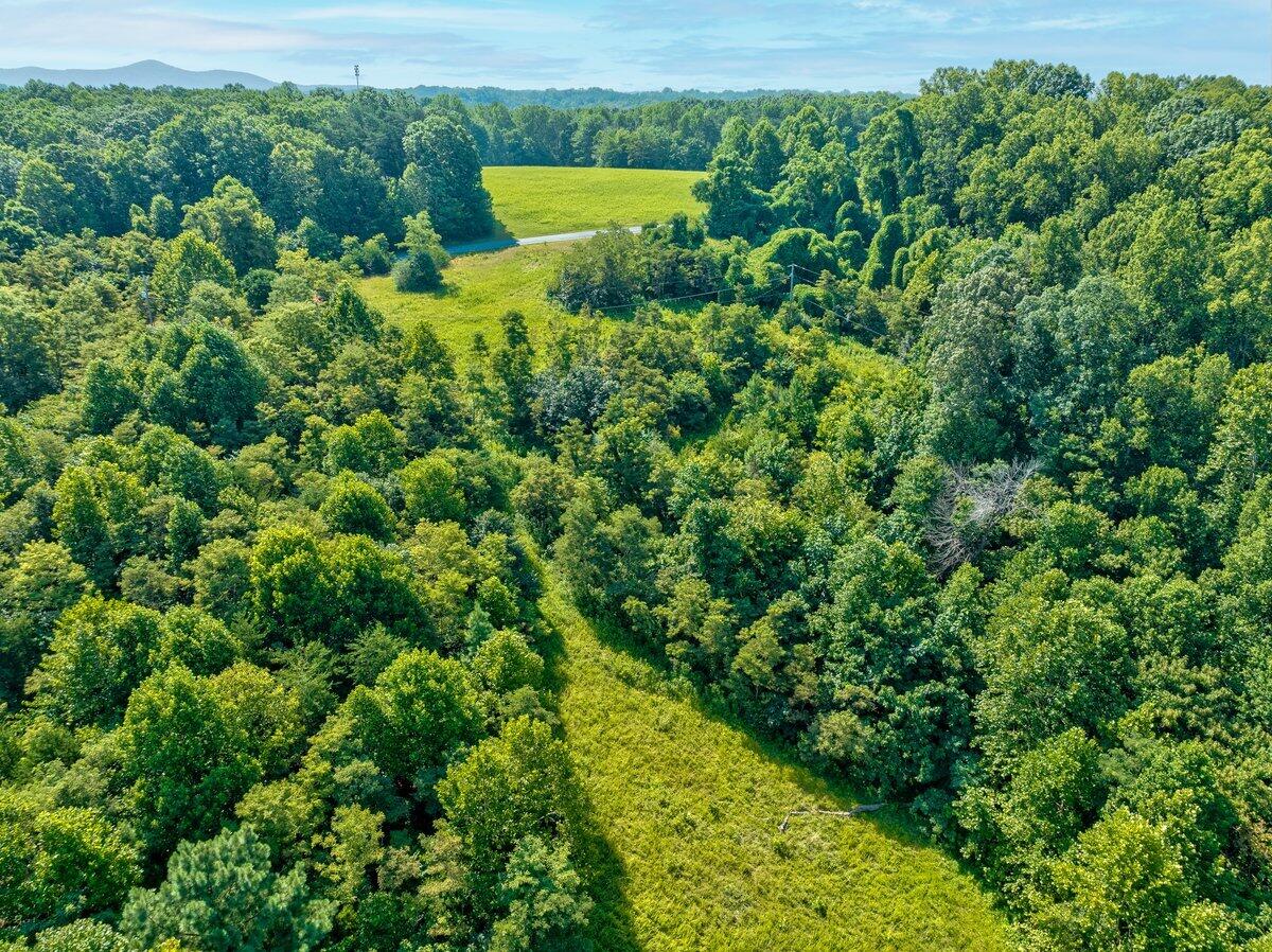 Lot 2 Piney Point Road Union Hall, VA 24176 - Photo 8 of 12 a view of a garden from a lake