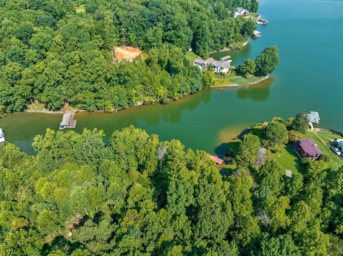 Lot 2 Piney Point Road Union Hall, VA 24176 - Photo 10 of 12 a view of a lake with a tree