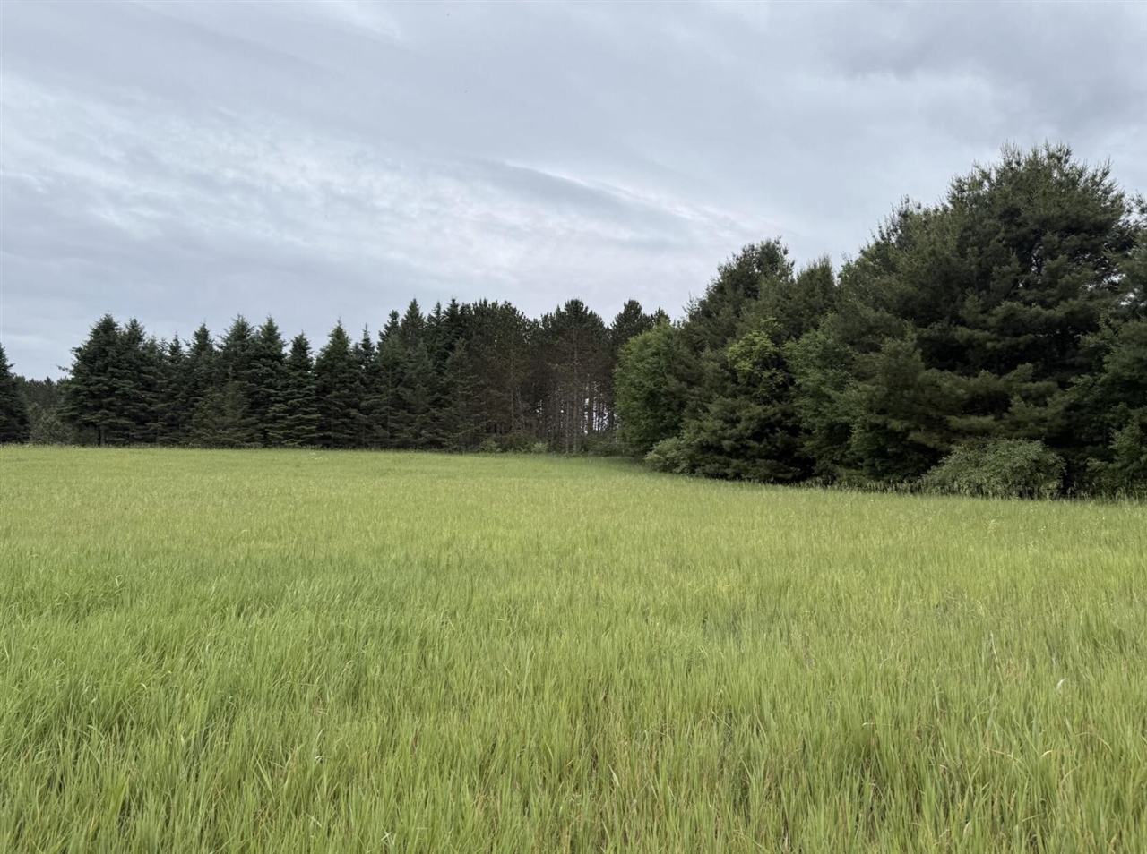 Eight Mile Road Kaleva, MI 49645 - Photo 2 of 14