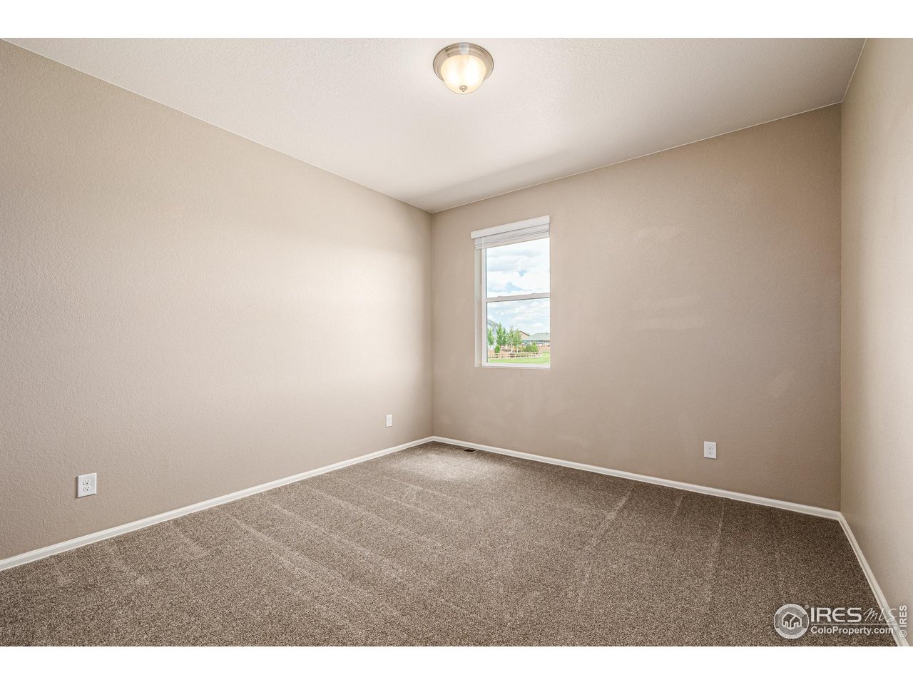 913 Camberly Drive Windsor, CO 80550 - Photo 23 of 33