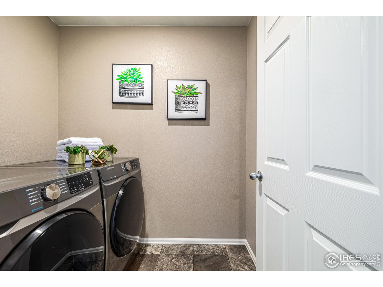 913 Camberly Drive Windsor, CO 80550 - Photo 28 of 33