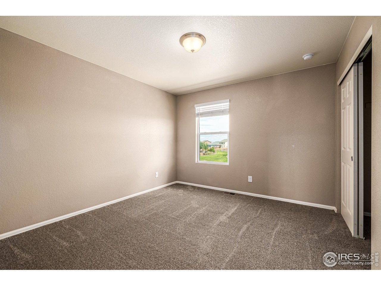 913 Camberly Drive Windsor, CO 80550 - Photo 29 of 33