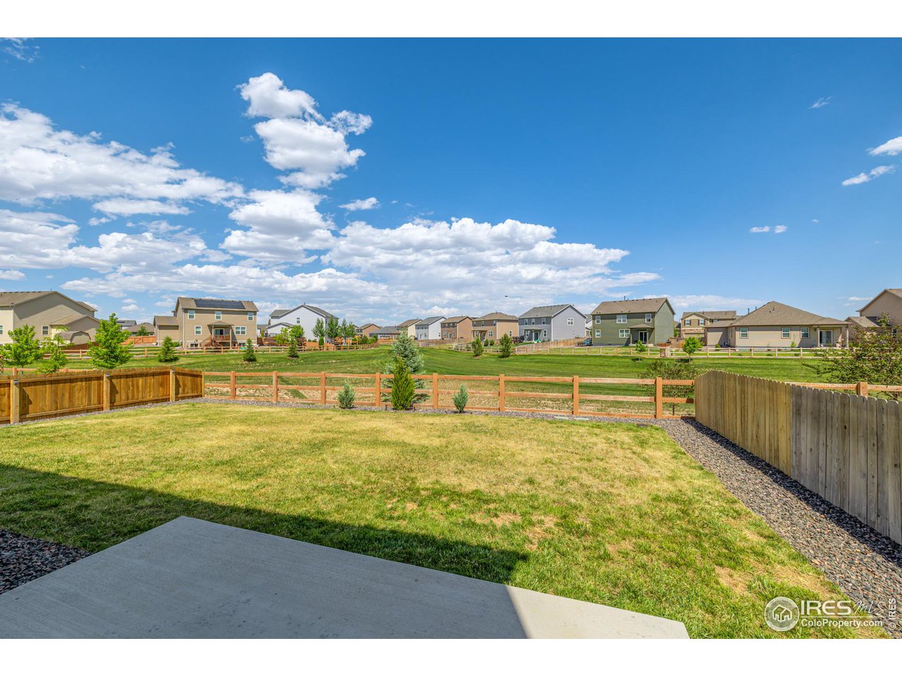 913 Camberly Drive Windsor, CO 80550 - Photo 32 of 33