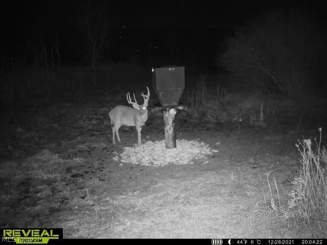 Ashton Hill Road Caldwell, OH 43724 - Photo 4 of 26