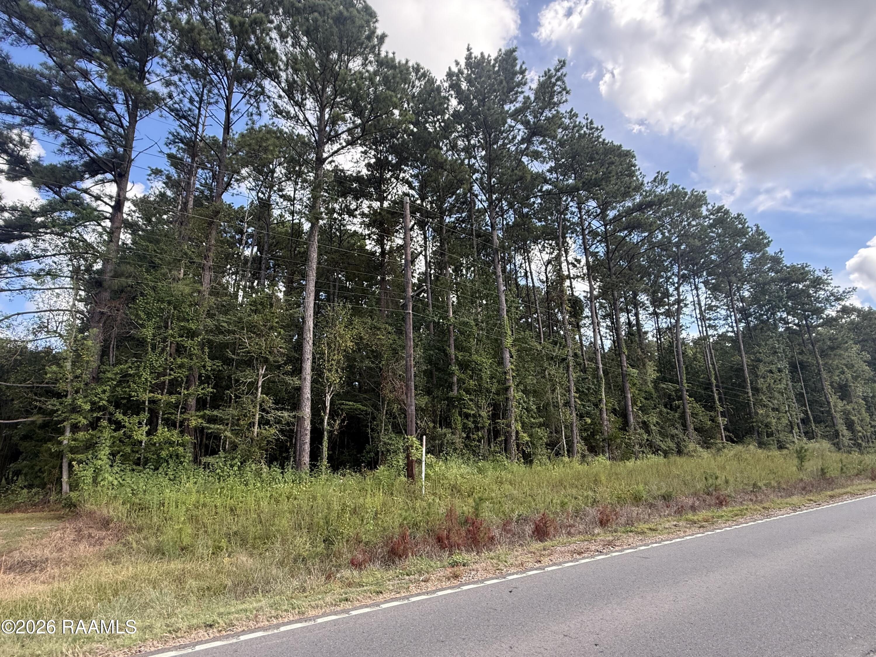 Creek Road Oakdale, LA 71463 - Photo 1 of 1 IMG_1657
