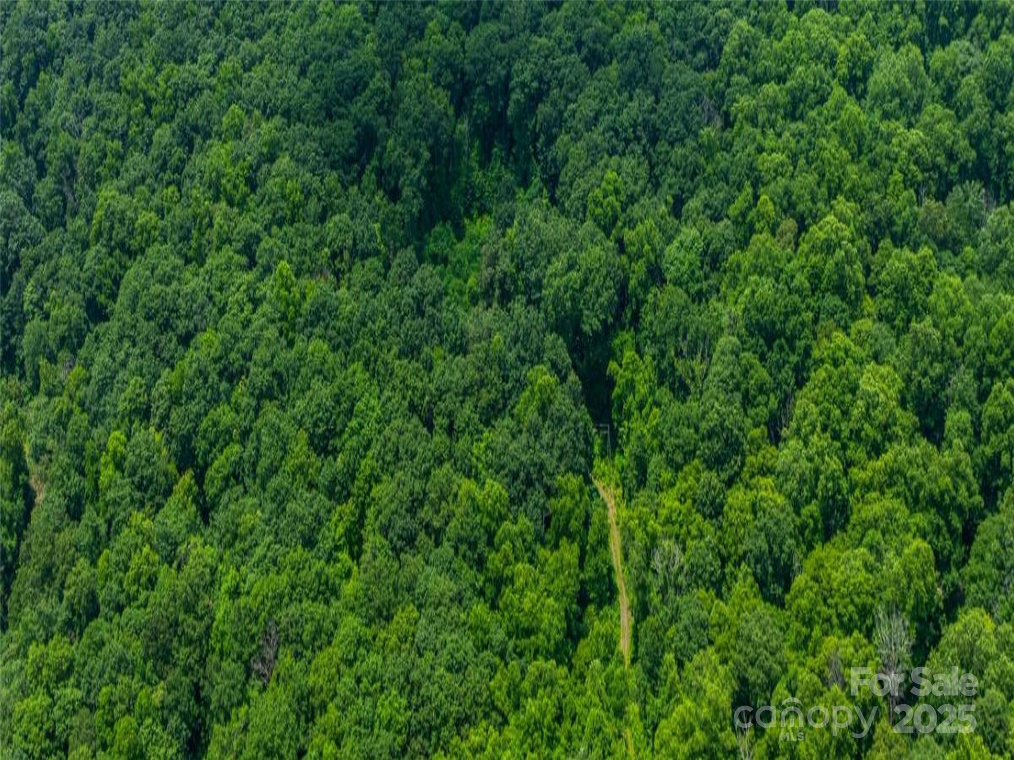 99999 Long Branch Road, Unit 1 Swannanoa, NC 28778 - Photo 3 of 6