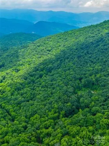 $70,000 | 99999 Long Branch Road, Unit 1, Swannanoa, NC 28778