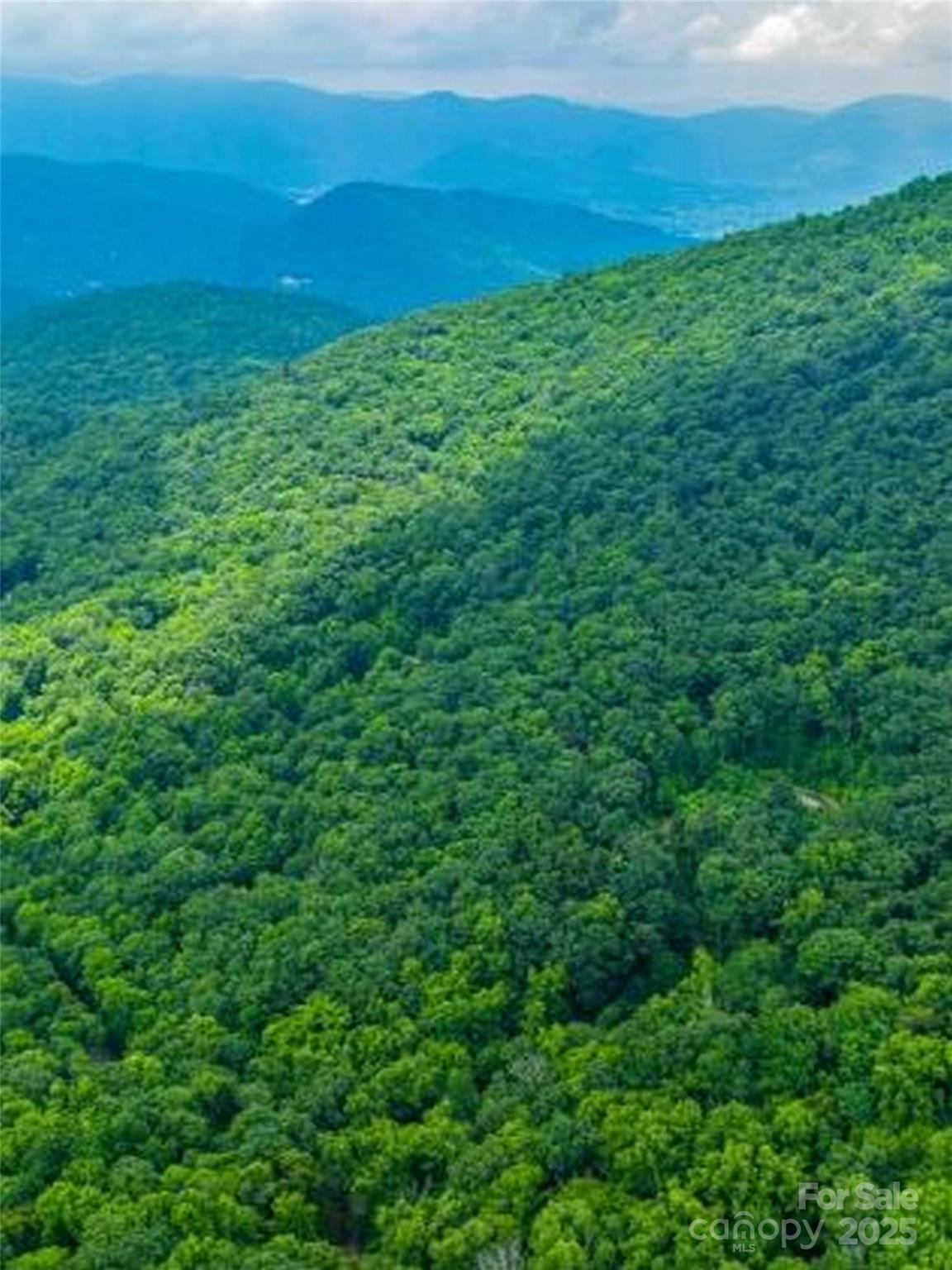 99999 Long Branch Road, Unit 1 Swannanoa, NC 28778 - Photo 4 of 6