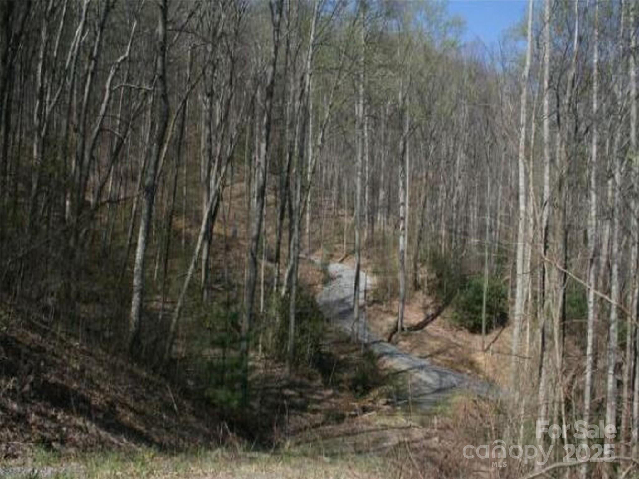 99999 Long Branch Road, Unit 1 Swannanoa, NC 28778 - Photo 5 of 6