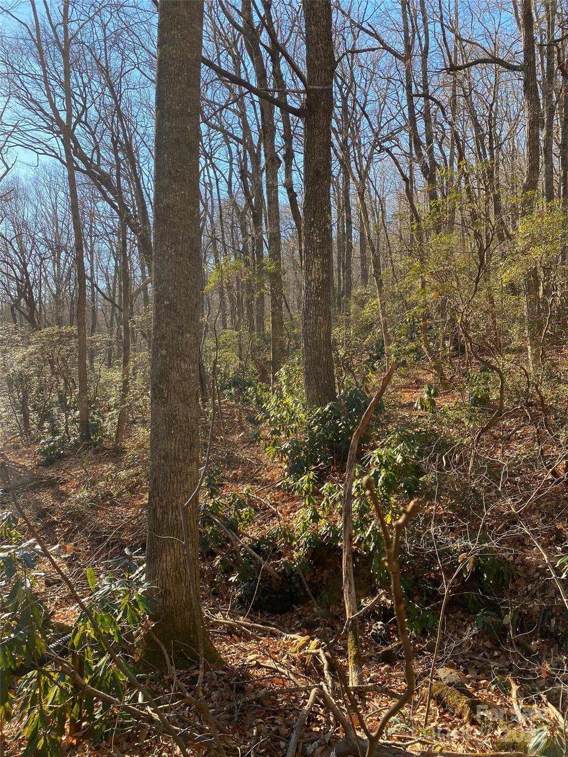 99999 Long Branch Road, Unit 1 Swannanoa, NC 28778 - Photo 6 of 6