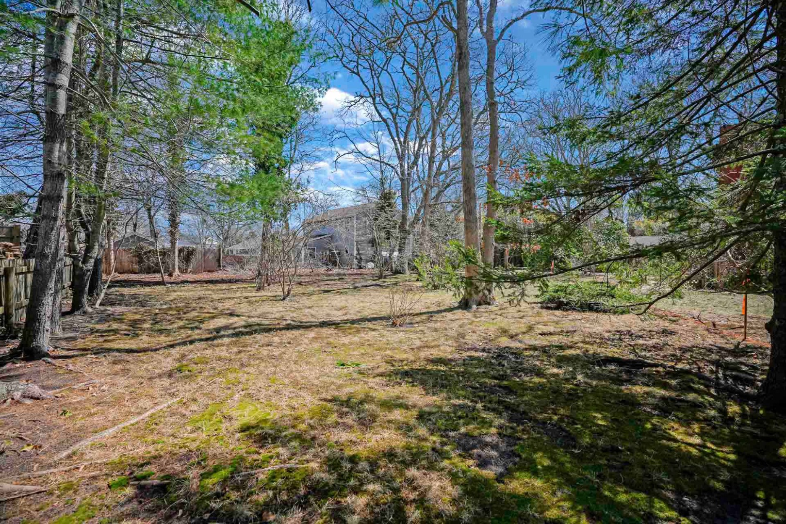 15 Chapman Lane Edgartown, MA 02539 - Photo 4 of 6 a view of road with large trees