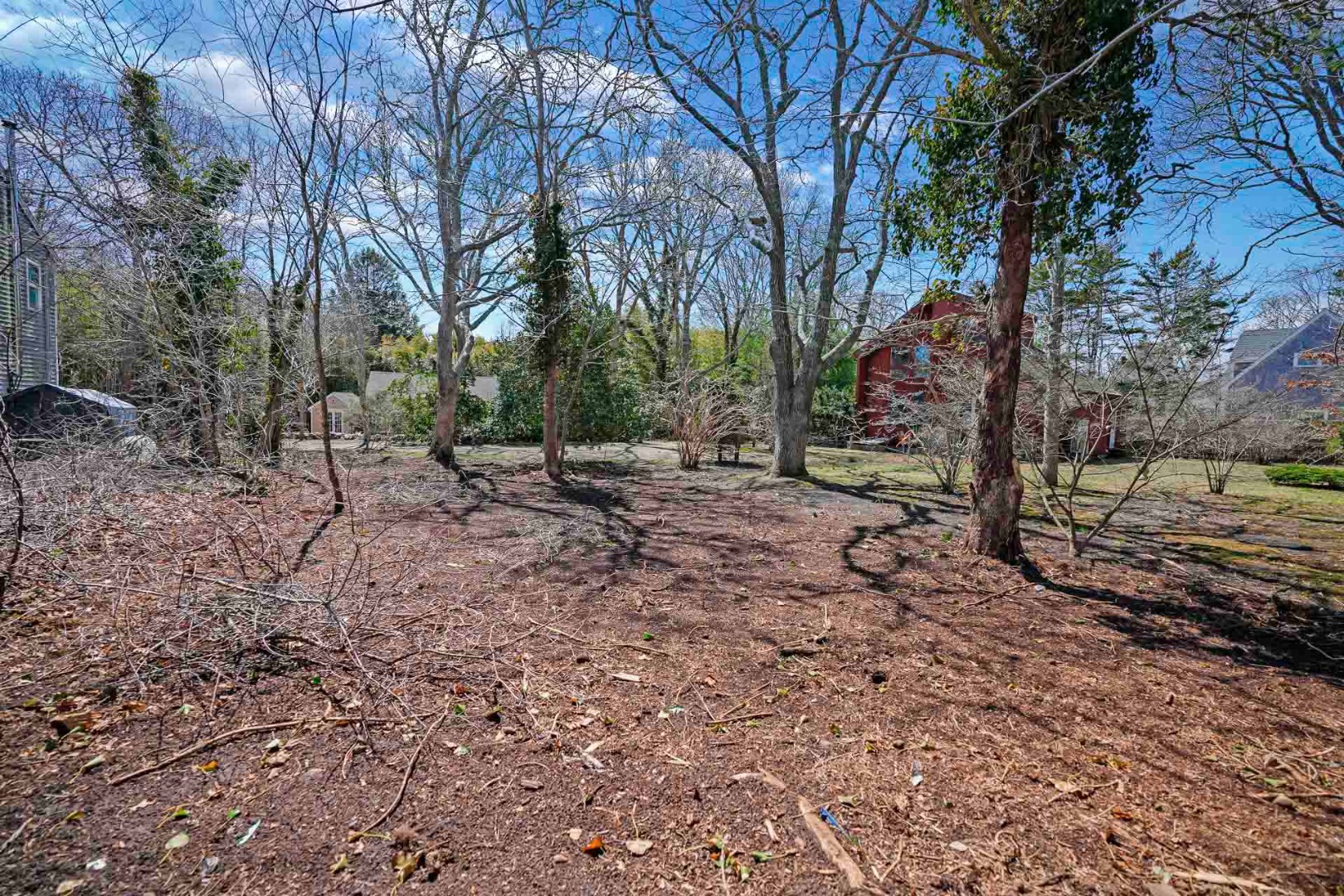 15 Chapman Lane Edgartown, MA 02539 - Photo 6 of 6 a view of outdoor space with trees