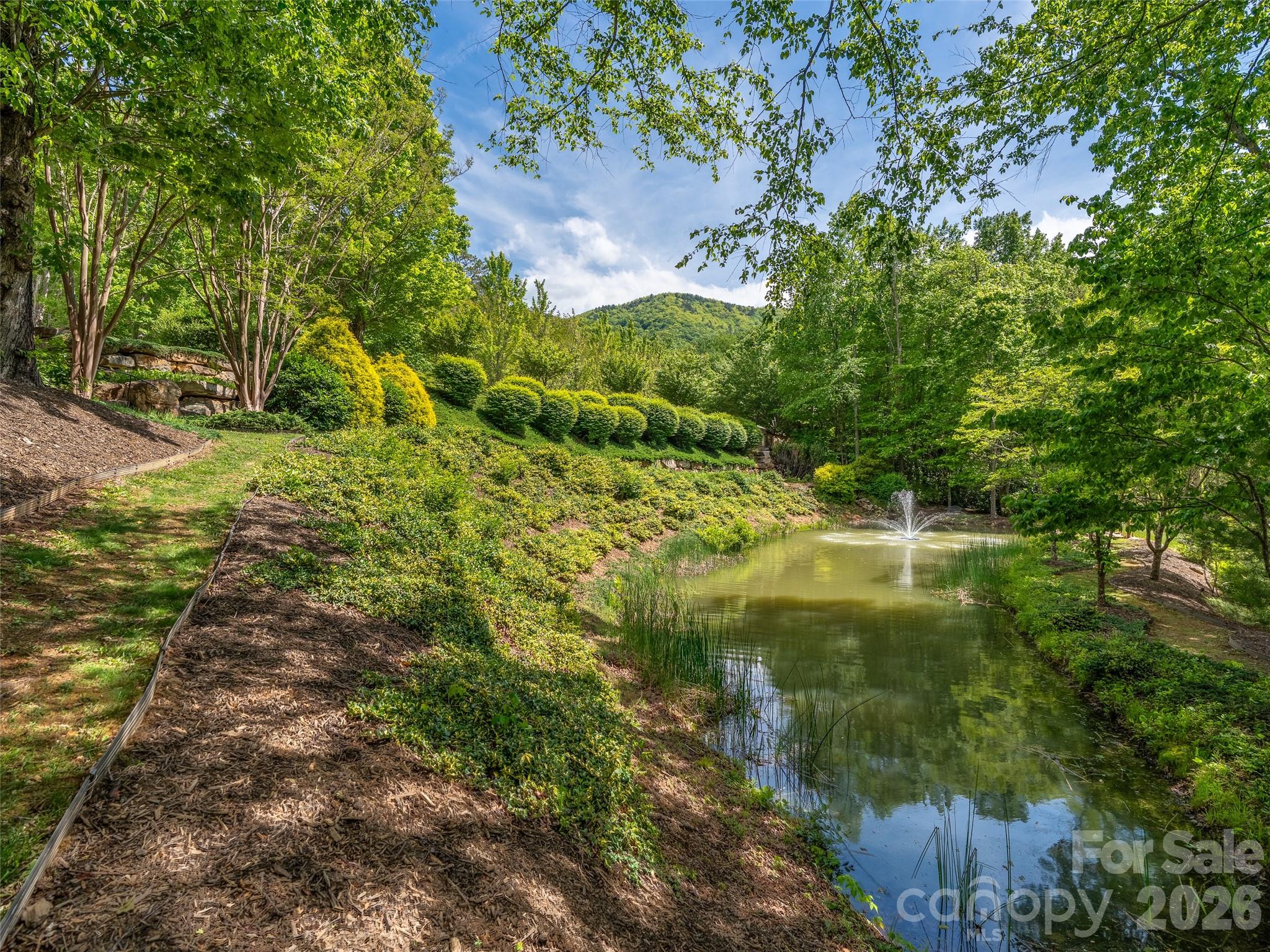 11 Crockett Ridge Road Black Mountain, NC 28711 - Photo 19 of 19 a view of outdoor space yard and green space