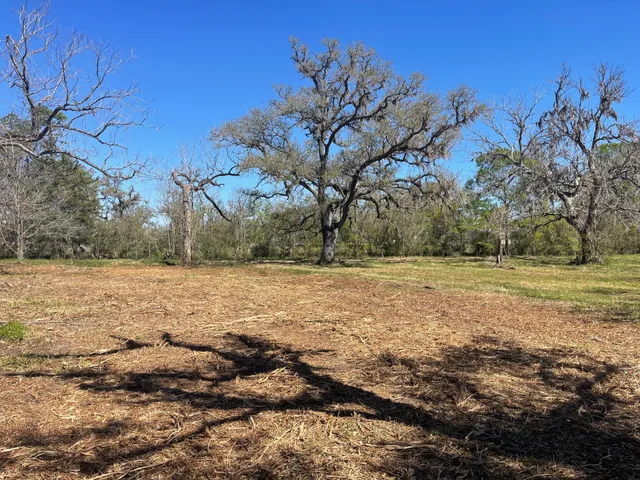 $79,900 | 3531 County Road 348, Brazoria, TX 77422