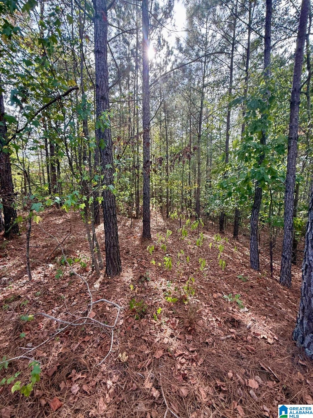 325 Deer Ridge Lane, Unit 29 Chelsea, AL 35043 - Photo 12 of 17