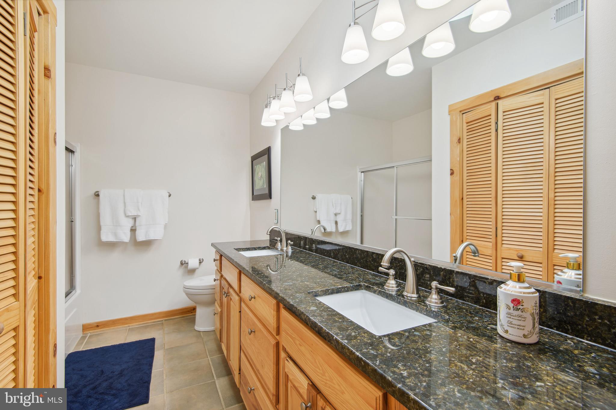 6760 Wilson Road Marshall, VA 20115 - Photo 34 of 75 LL Full bath