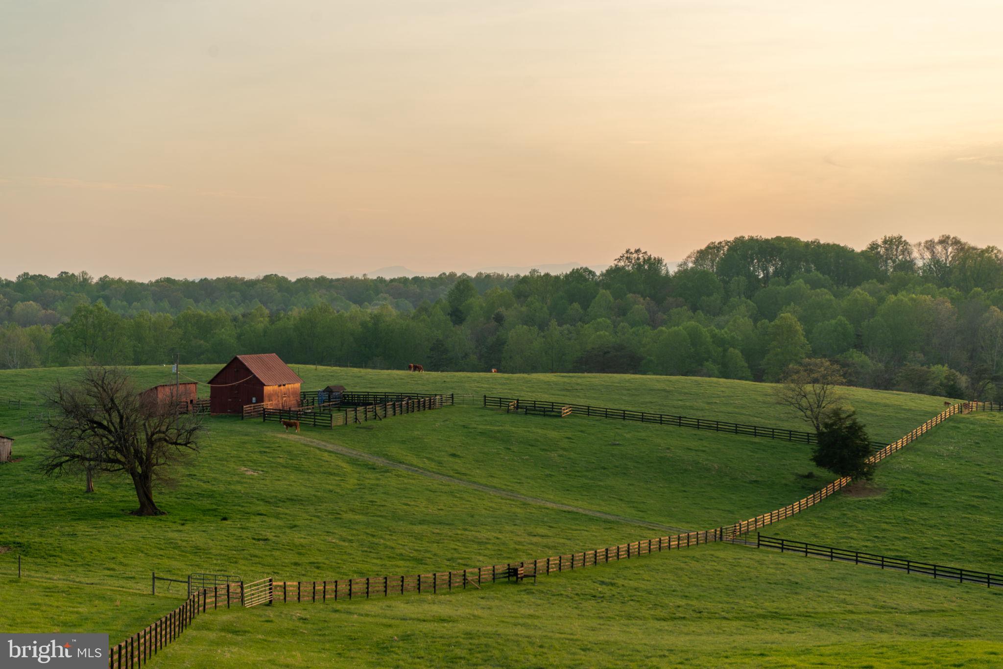 6760 Wilson Road Marshall, VA 20115 - Photo 5 of 75 Peace and Quiet
