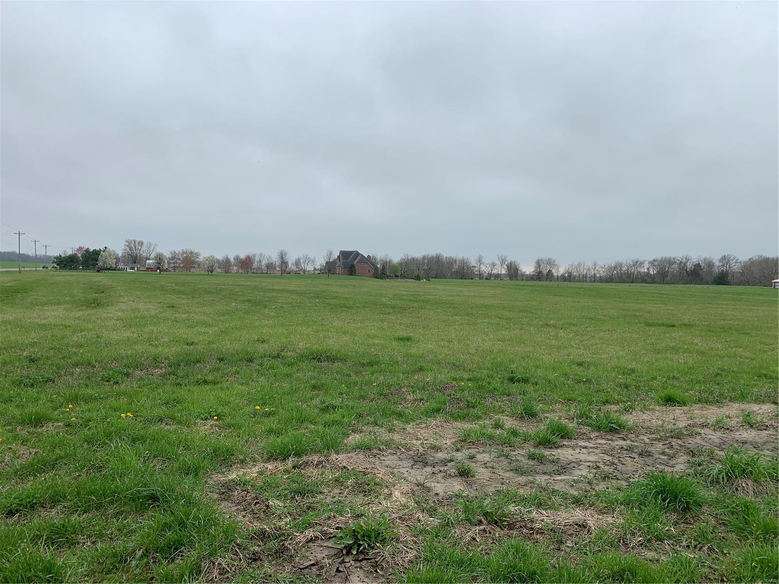 0 Renken Road Dorsey, IL 62021 - Photo 2 of 3
