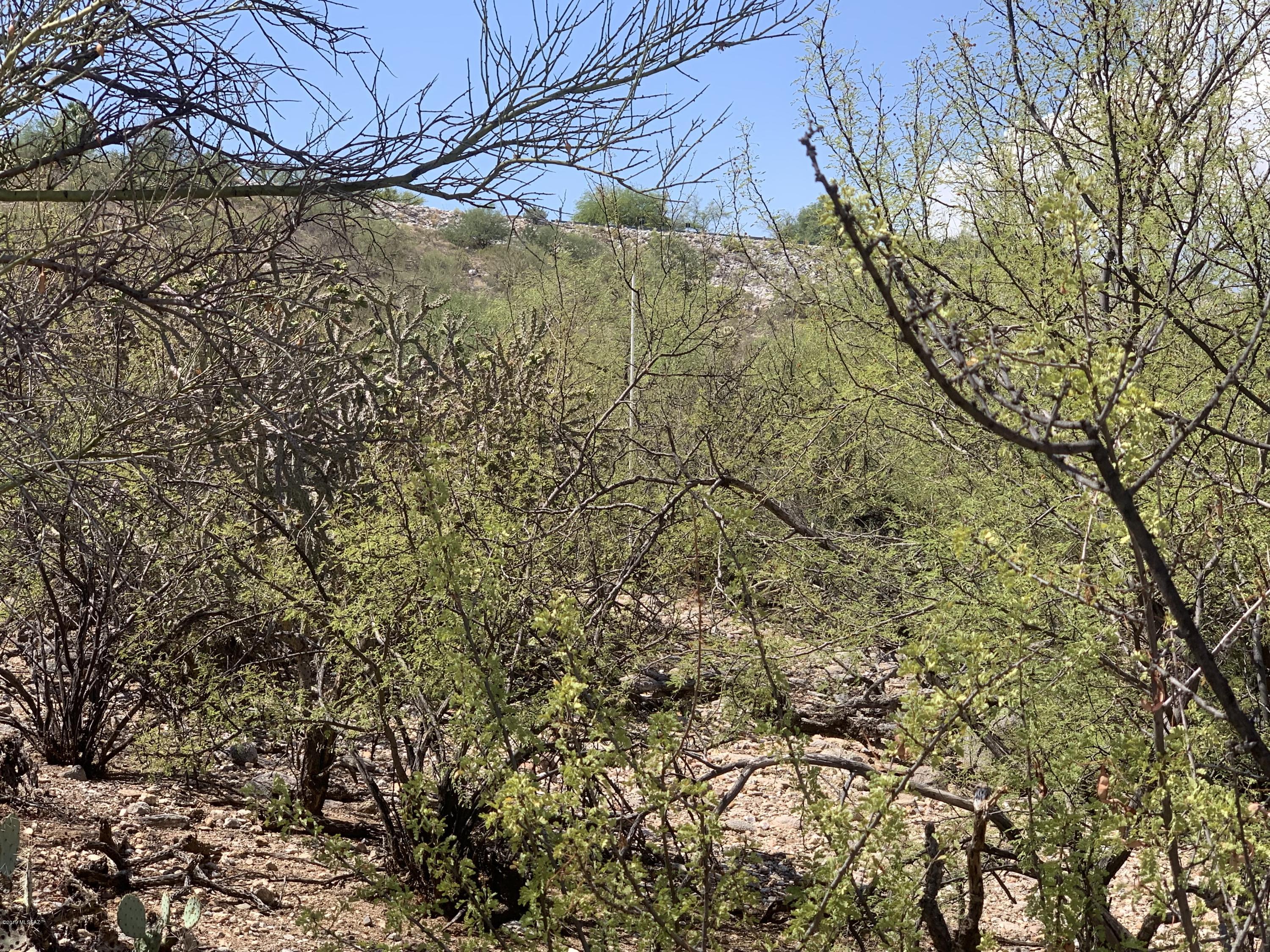 6774 East Snyder Road, Unit 16 Tucson, AZ 85750 - Photo 9 of 13