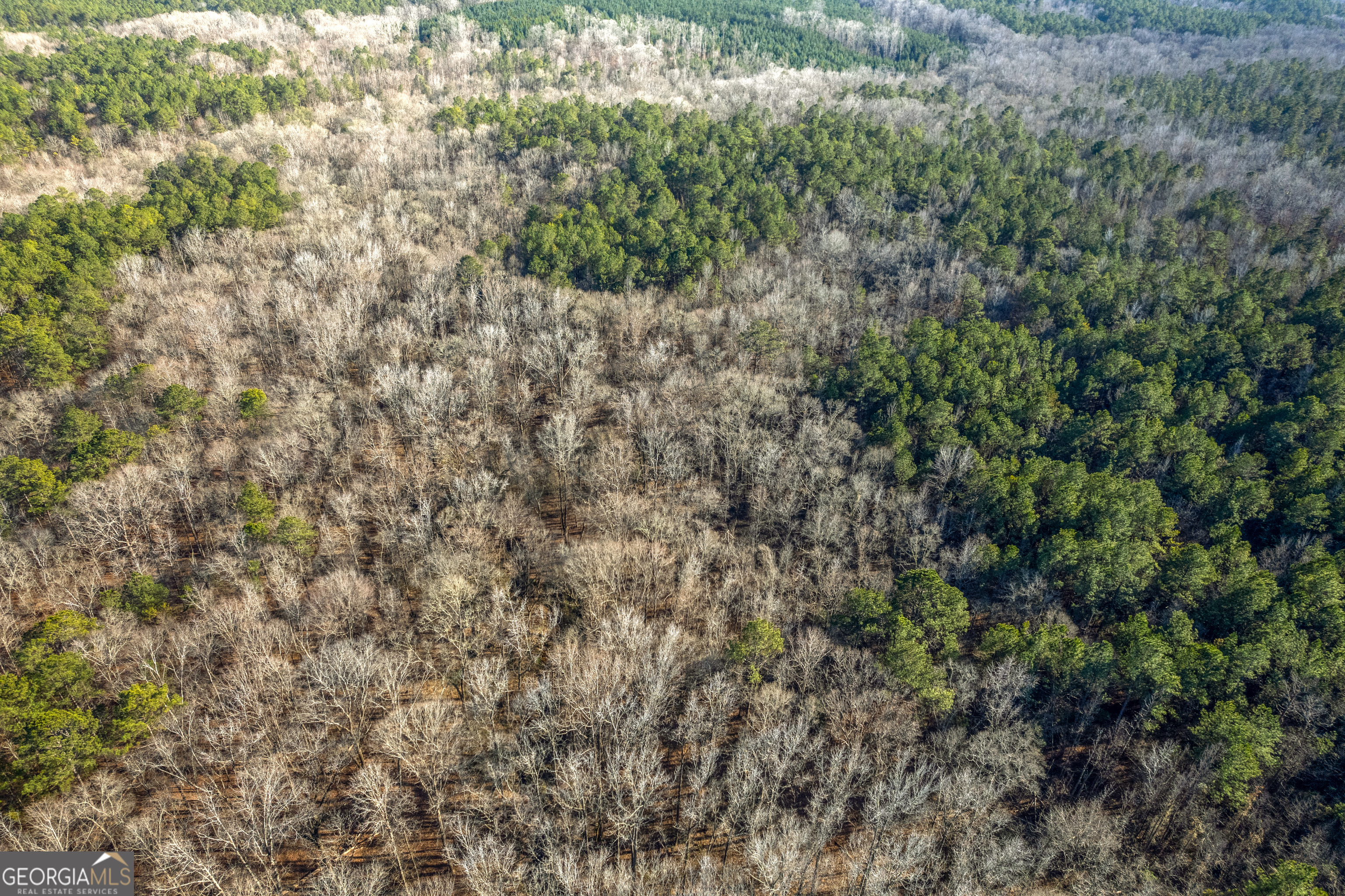 119 Sibley Road Northeast Milledgeville, GA 31061 - Photo 12 of 24