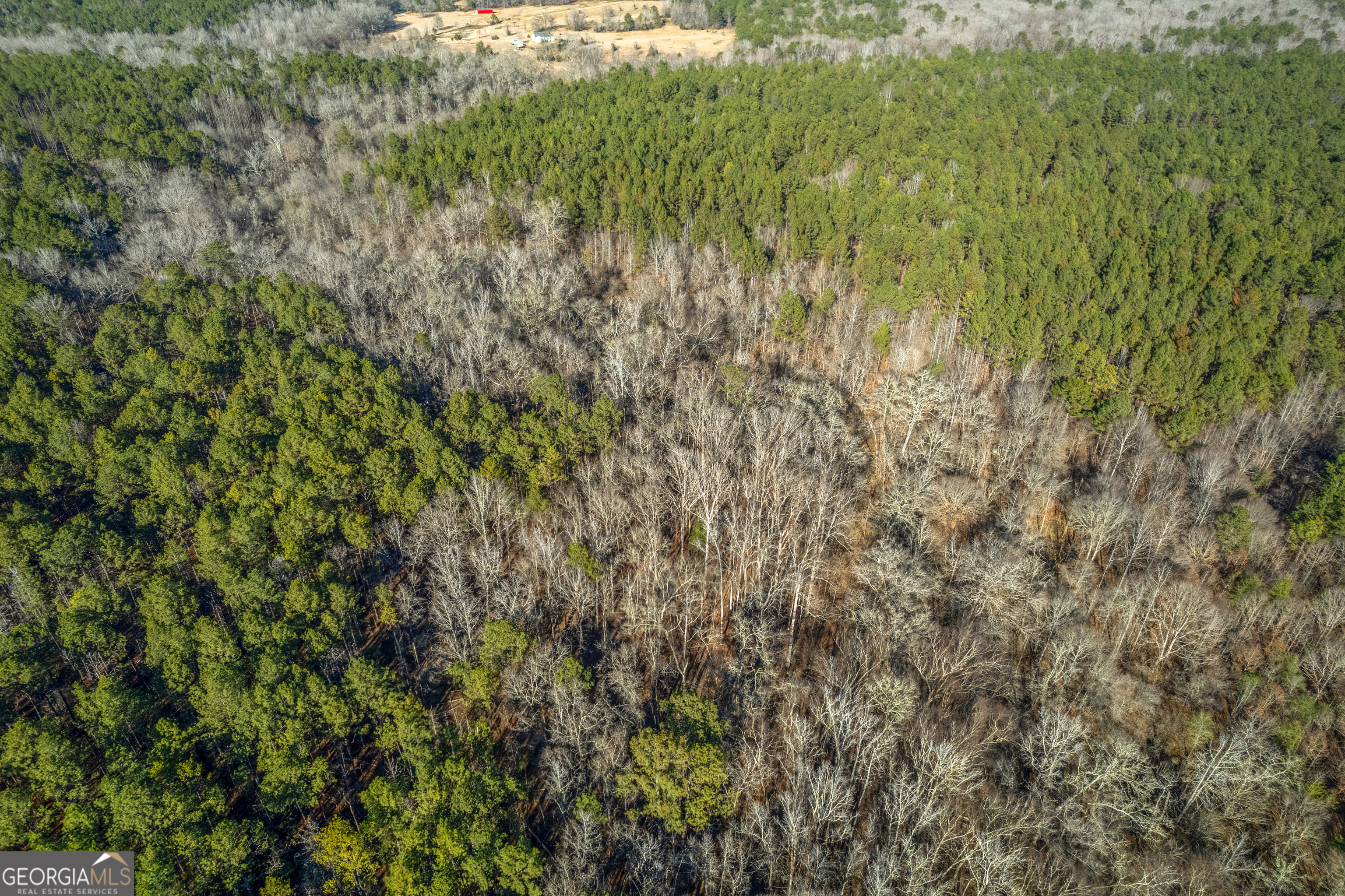 119 Sibley Road Northeast Milledgeville, GA 31061 - Photo 13 of 24