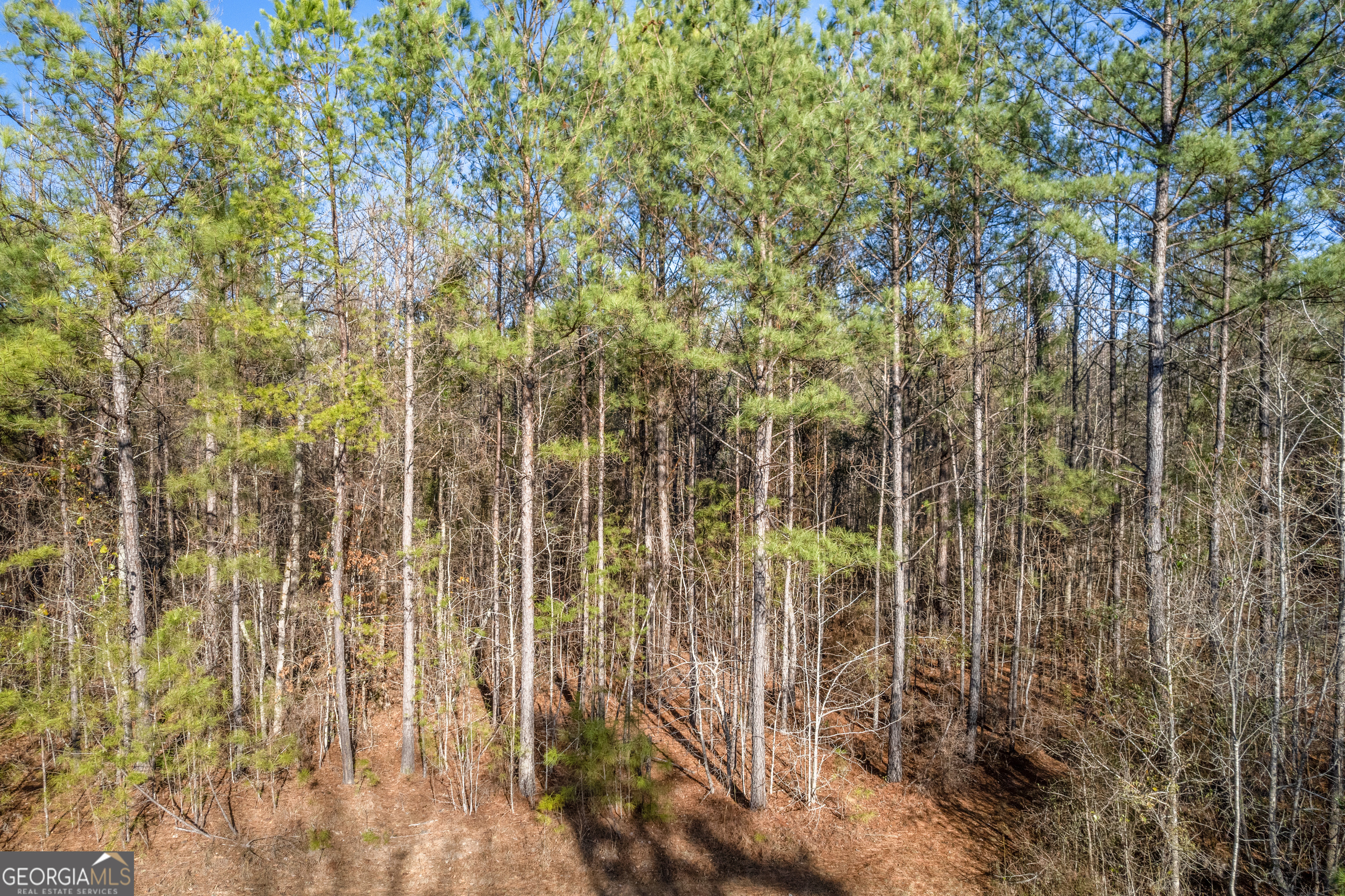 119 Sibley Road Northeast Milledgeville, GA 31061 - Photo 15 of 24