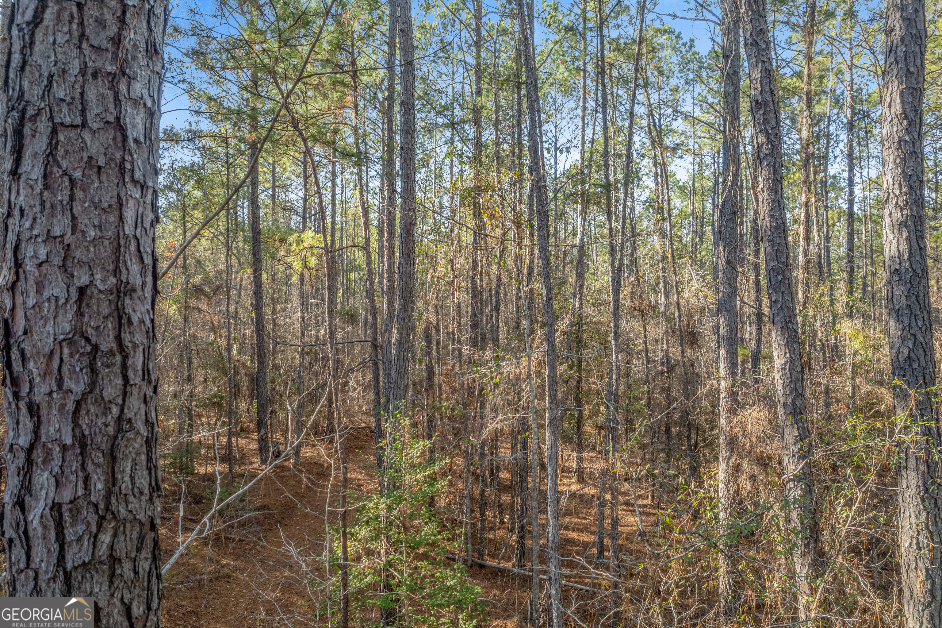 119 Sibley Road Northeast Milledgeville, GA 31061 - Photo 18 of 24