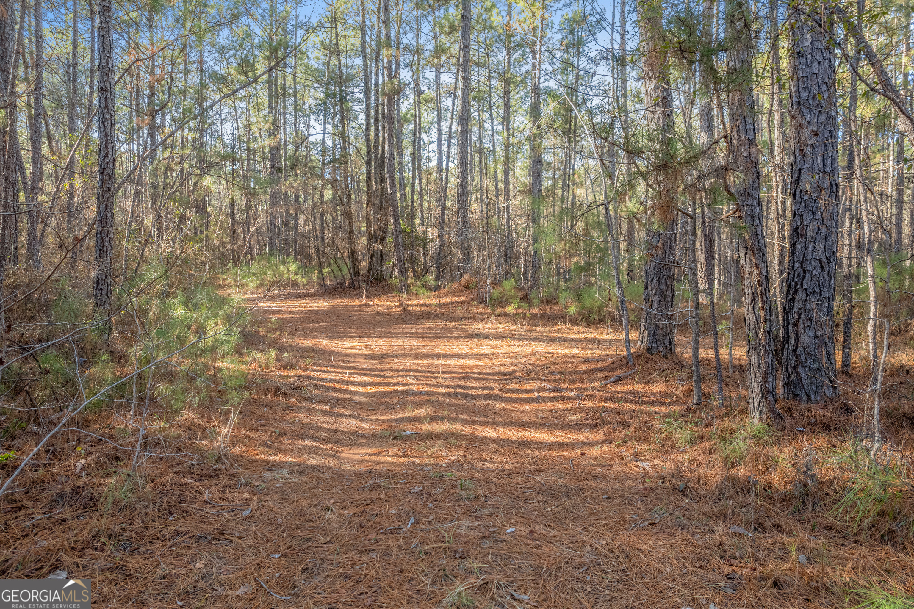 119 Sibley Road Northeast Milledgeville, GA 31061 - Photo 20 of 24