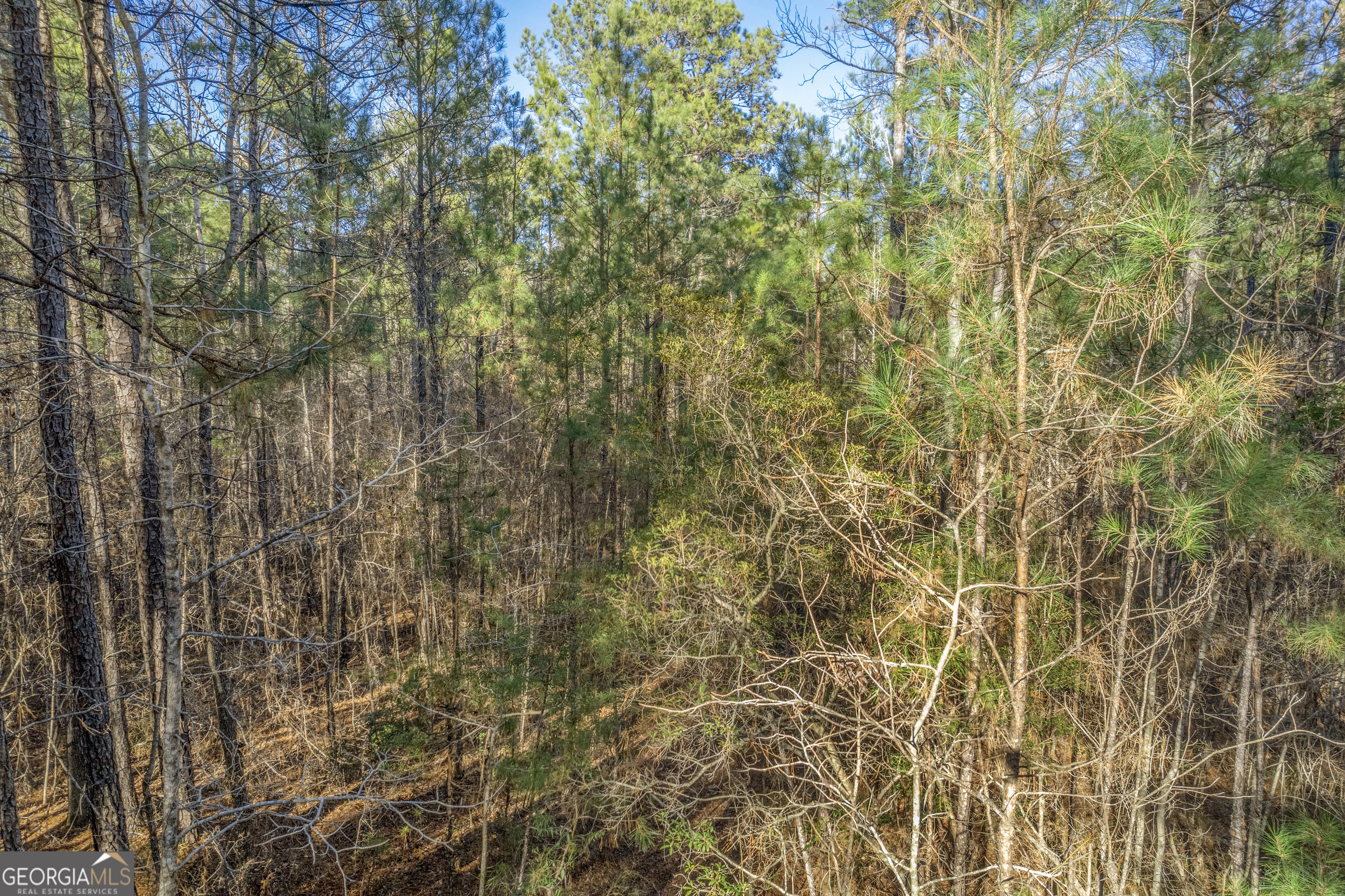 119 Sibley Road Northeast Milledgeville, GA 31061 - Photo 21 of 24