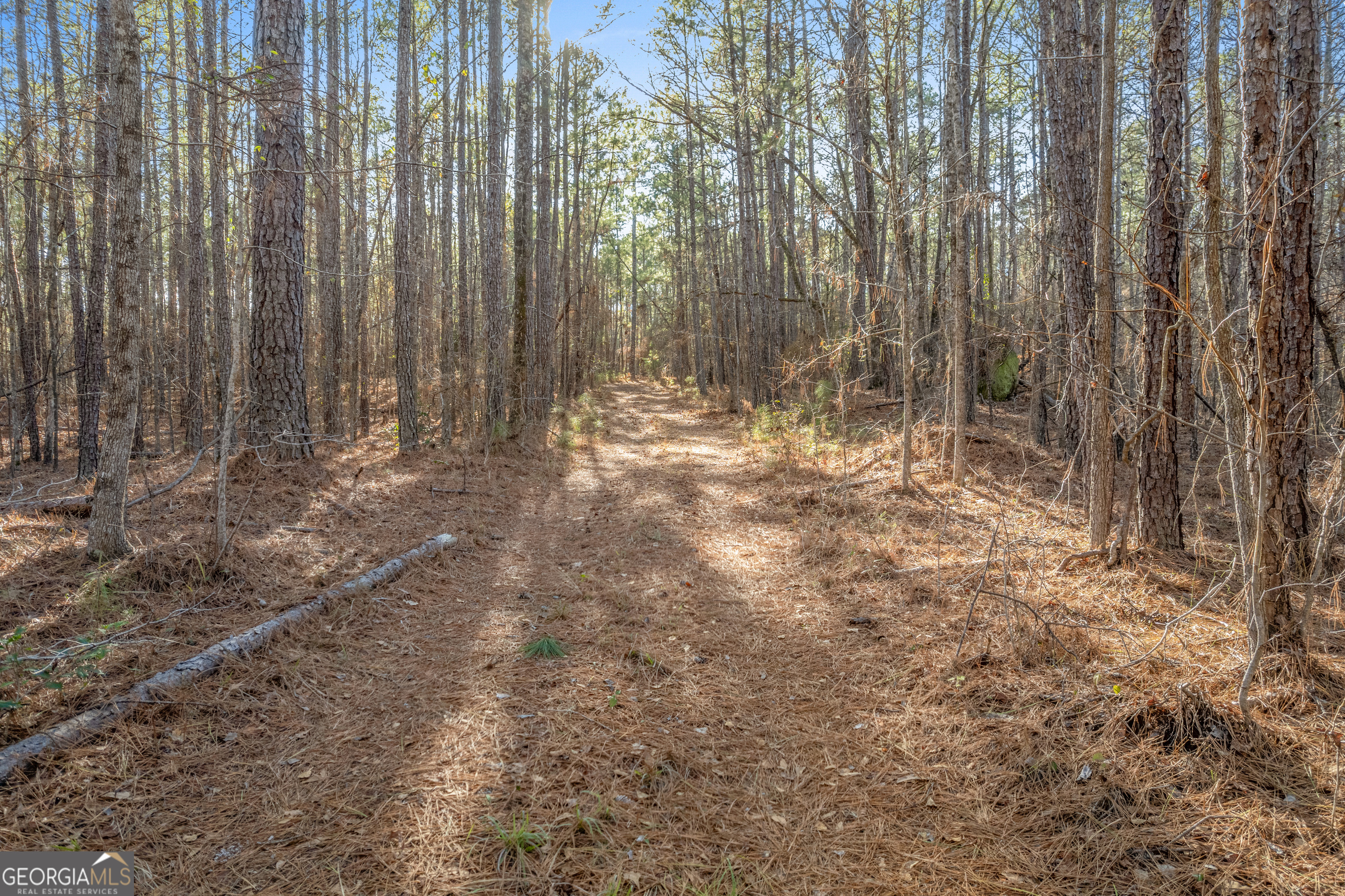 119 Sibley Road Northeast Milledgeville, GA 31061 - Photo 22 of 24