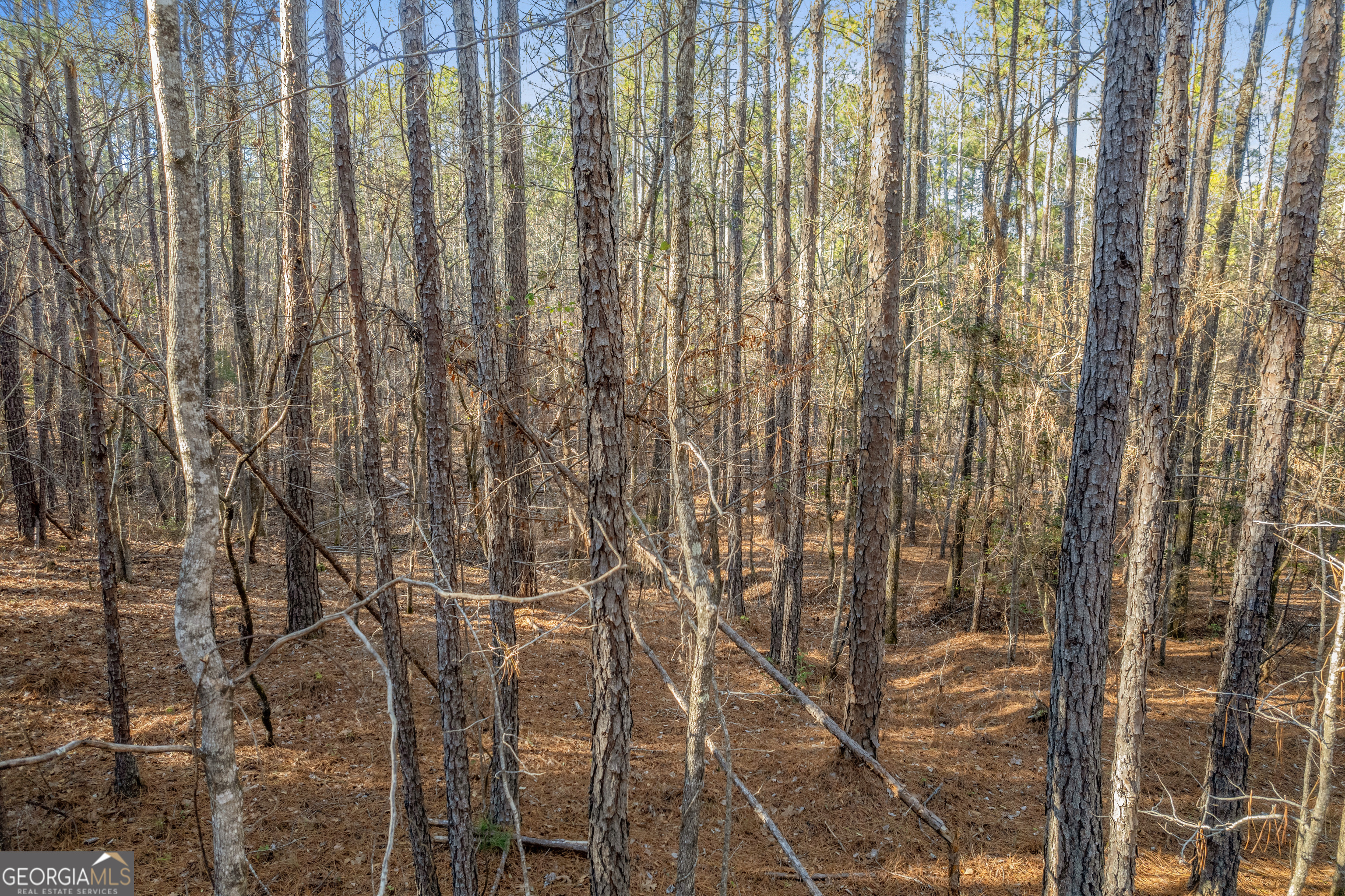 119 Sibley Road Northeast Milledgeville, GA 31061 - Photo 23 of 24