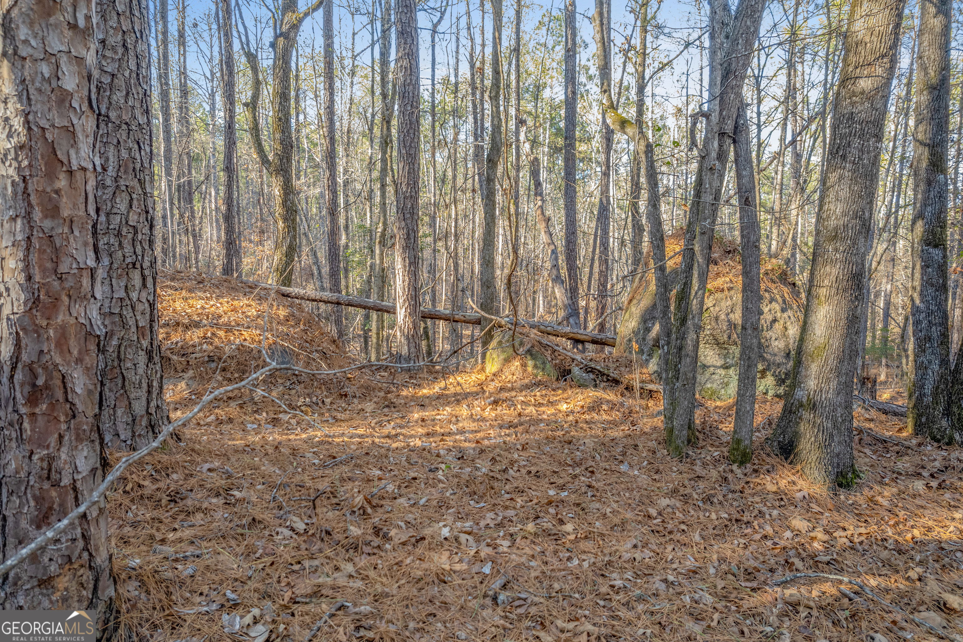 119 Sibley Road Northeast Milledgeville, GA 31061 - Photo 5 of 24